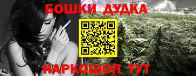 гашик Гусев