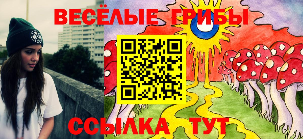 Заинск  Псилоцибиновые грибы Psilocybine cubensis  Вход с VPN 