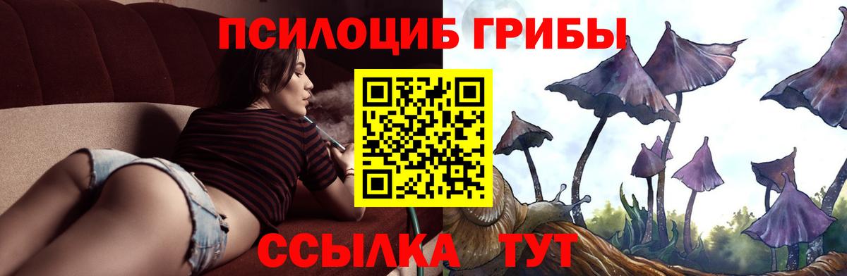 Псилоцибиновые грибы Magic Shrooms Заинск